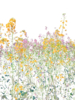 Bloom 2 | Digital de Marta Caldas | Compra arte en Flecha.es