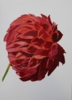Crisantemo Rojo | Pintura de Miguel Ortega Mesa | Compra arte en Flecha.es