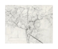 Membrillero | Obra gráfica de Antonio López | Compra arte en Flecha.es