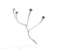 Objet Trouve | Digital de jjuncadella | Compra arte en Flecha.es