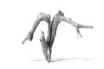 Objet Trouve | Digital de jjuncadella | Compra arte en Flecha.es