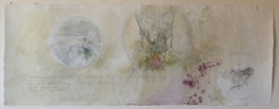 "Insectos" | Dibujo de Carmen Roger | Compra arte en Flecha.es