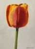 Tulip I | Pintura de Miguel Ortega Mesa | Compra arte en Flecha.es