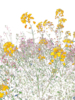 Bloom I | Digital de Marta Caldas | Compra arte en Flecha.es