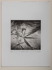 Frozen star | Fotografía de Carles Mitjà | Compra arte en Flecha.es