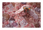 Ocupa Serie 2-II (31 de Marzo) | Fotografía de rocio gomez | Compra arte en Flecha.es