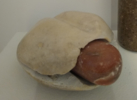 Choripan/Serie Bodegon | Escultura de Rocio Rodrigo Prado | Compra arte en Flecha.es