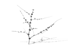 Objet Trouve | Digital de jjuncadella | Compra arte en Flecha.es