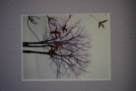 Colección "Lit-Phy" | Fotografía de Lizmenta | Compra arte en Flecha.es