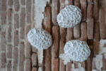 CRATOJO DE ESCAYOLA | Escultura de Arpa y Rizo | Compra arte en Flecha.es