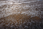 Gold Sea | Digital de Kantfish | Compra arte en Flecha.es