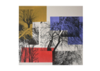 El bosque translúcido 2 V/E III | Obra gráfica de Josep Pérez González | Compra arte en Flecha.es