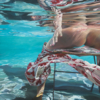 Coeur volé | Pintura de Josep Moncada | Compra arte en Flecha.es