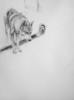 Brecha de silencio II | Dibujo de Mónica Torres | Compra arte en Flecha.es