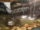 Jardín andaluz de la Casa de Sorolla | Pintura de TOMAS CASTAÑO | Compra arte en Flecha.es