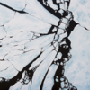 iCEBERG VIII | Pintura de SARA F. JORSLOV | Compra arte en Flecha.es