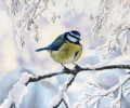 Herrerillo en invierno | Pintura de Javier Ramos Julián | Compra arte en Flecha.es