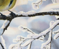 Herrerillo en invierno | Pintura de Javier Ramos Julián | Compra arte en Flecha.es