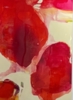 Todo al rojo | Pintura de ISABEL GARCIA BENITO | Compra arte en Flecha.es