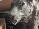 león | Escultura de saiz manrique | Compra arte en Flecha.es