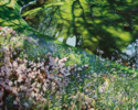 Jardines de Aiete. | Pintura de Javier Ramos Julián | Compra arte en Flecha.es