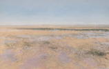 Bajamar en La Jara III | Pintura de José Luis Romero | Compra arte en Flecha.es