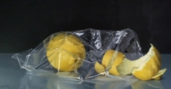 "Ausencia"  (Bolsa con limones) | Pintura de MIGUEL ANGEL NUÑEZ | Compra arte en Flecha.es