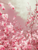 The colors of spring I | Fotografía de Viet Ha Tran | Compra arte en Flecha.es
