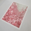 The colors of spring I | Fotografía de Viet Ha Tran | Compra arte en Flecha.es