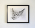 El Vuelo del Halcón Peregrino | Dibujo de Javier Ramos Julián | Compra arte en Flecha.es