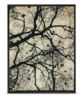 Neuronal | Fotografía de OMEÑACA,JORGE | Compra arte en Flecha.es