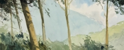 Bosque alrededor de La Granja | Pintura de Iñigo Lizarraga | Compra arte en Flecha.es