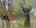Bocetos de robles | Pintura de Aitor Burgos Sanz | Compra arte en Flecha.es