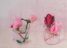 Rosas de Invierno II | Obra gráfica de Antonio López | Compra arte en Flecha.es
