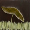 Seed | Pintura de WhatThePaint | Compra arte en Flecha.es